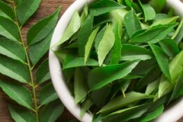 Curry Leaves