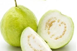 Guava