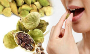 cardamom