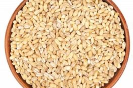 Barley