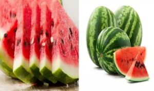watermelon