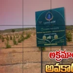 పల్నాడు జిల్లాలో అవకాడో సాగు పేరుతో అక్రమ దందా